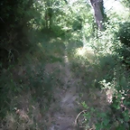 PICT0133