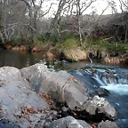 DSCN6703