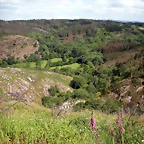 DSCN2740