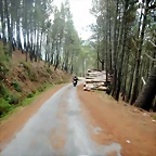 DSCN7723
