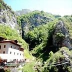 DSCN6963