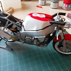 DSCN4291