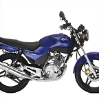 Yamaha YBR 125 2005