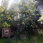 DSCN3016