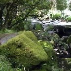 DSCN2780