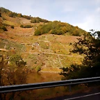 DSCN0618