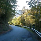 DSCN6461