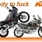 ready to fuck KTM