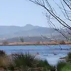 La laguna de mi pueblo el Padul