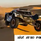 dakar-2013-buggy-smg-6 (1)