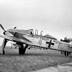 FW-190 Siegfrid Schnell. 4+I