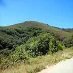 DSCN3906