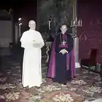 PIO XII MONTINI COLOR