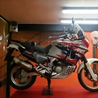 IMG-20181129-WA0012
