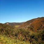 DSCN8961