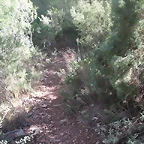 sendas olocau 027