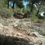 sendas olocau 024