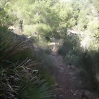 sendas olocau 025