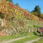 DSCN4489