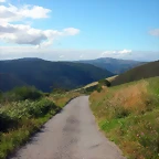 DSCN0739