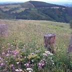 DSCN0699