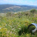 DSCN0716