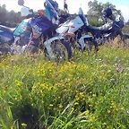 DSCN0713