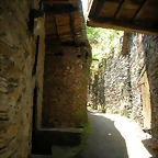 DSCN5839