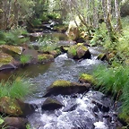 DSCN0842