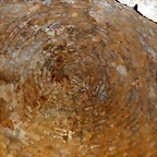 DSCN8136