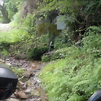 DSCN4244