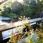 DSCN9731