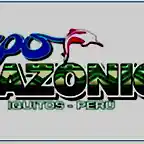 Logotipo EXPOAMAZONICA 2013