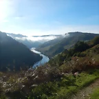 DSCN4485