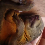 Así duerme ella ( bueno el)