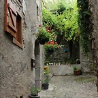 IMG_7773
