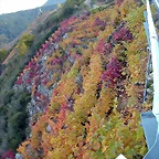 DSCN6572
