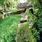 DSCN2326'3 (2)