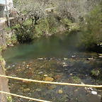 DSCN3978