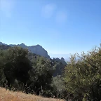 A82