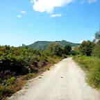 DSCN7120