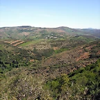DSCF2490