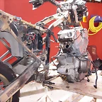 transplante de motor- (56)