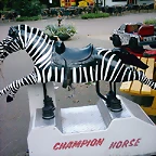 PIC03544