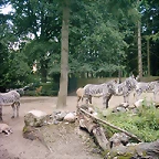 PIC03562