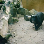 PIC03548