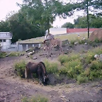 PIC03317