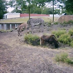 PIC03320