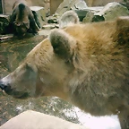 PIC03554