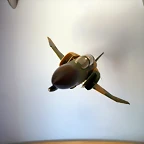 P1060768
